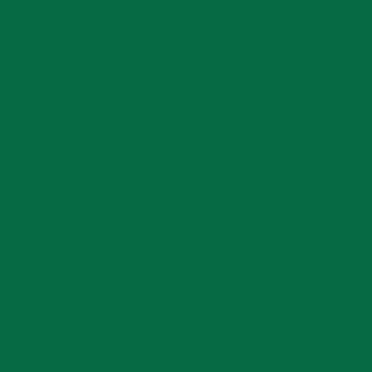 Спортивные напольные покрытия OMNISPORTS R65  FIELD GREEN