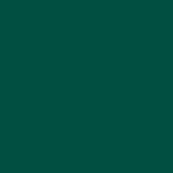 Спортивные напольные покрытия OMNISPORTS R65  FOREST GREEN