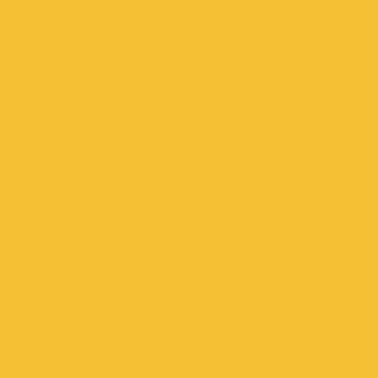 Спортивные напольные покрытия OMNISPORTS R65  YELLOW